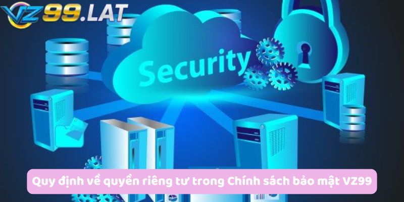 Quy định về quyền riêng tư trong Chính sách bảo mật VZ99