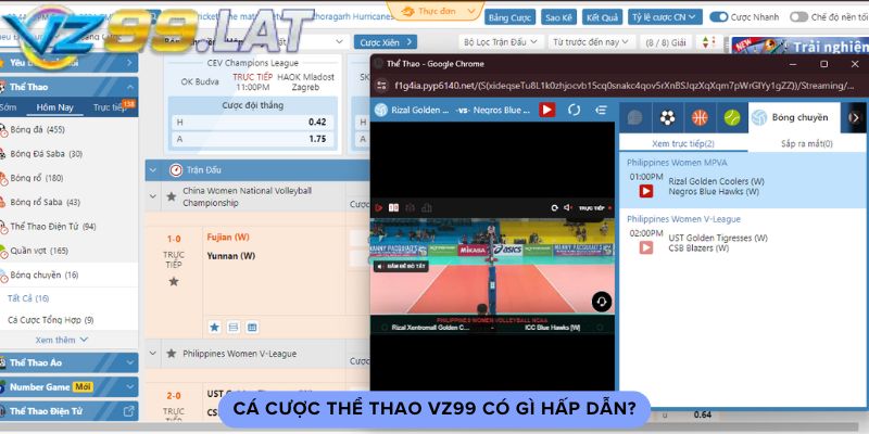 Cá cược thể thao vz99 có gì hấp dẫn?